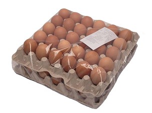 Fertőtlenített tojás